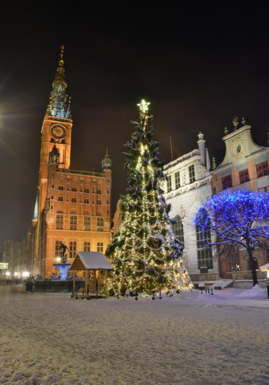 Old Town Apartment Angielska Grobla Gdańsk Kültér fotó